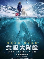 Action movie - 北极大冒险国语版
