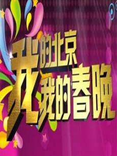 我的北京我的春晚 2011年