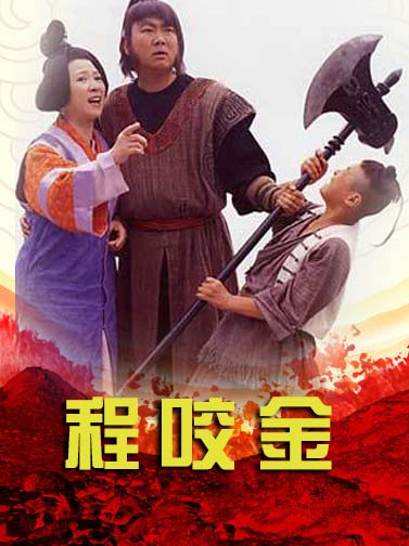 护国大将军_电视剧_高清在线观看-pp视频-原pptv聚力视频