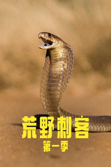 荒野刺客 第1季