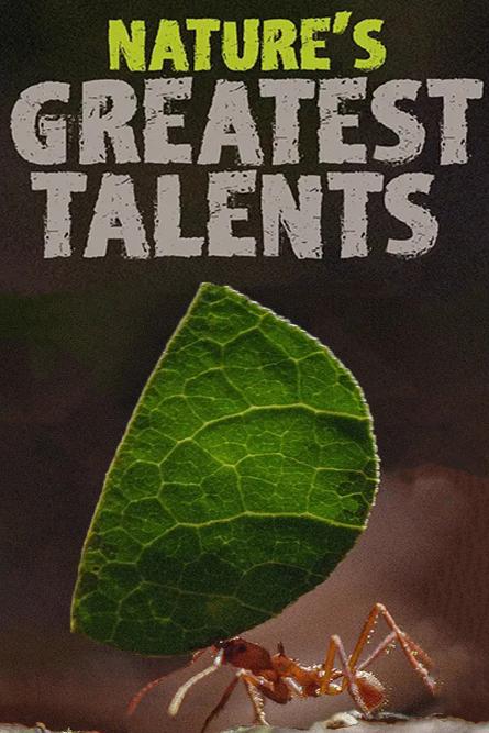 大自然最伟大的天才