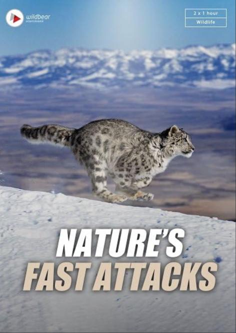 速度与生命-潜行杀手