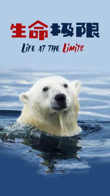 生命极限