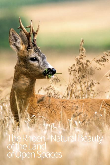 罗纳-开放空间之地的自然美景