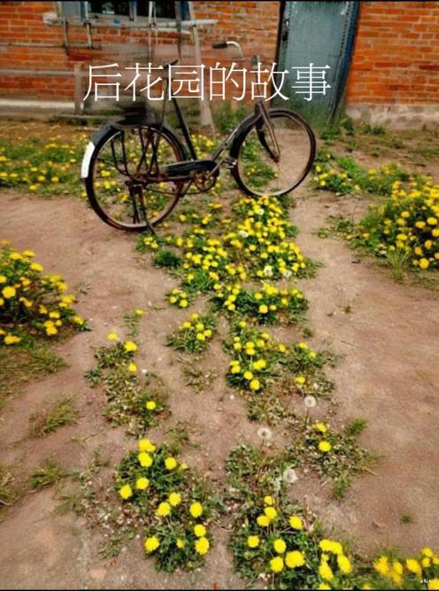 后花园的故事