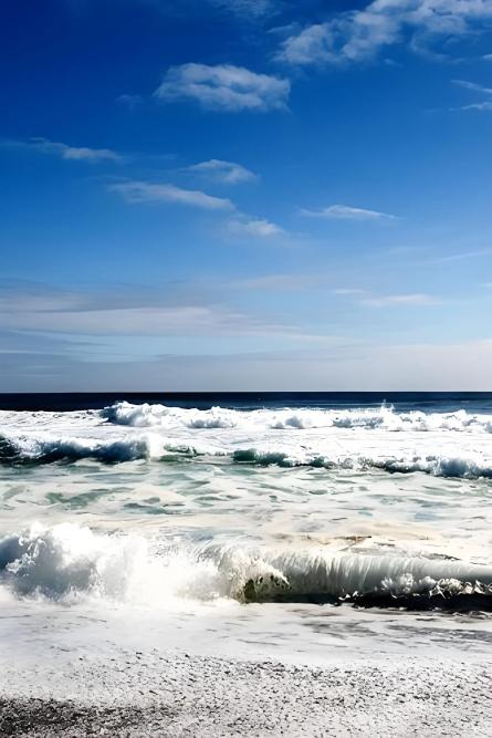 蓝色能源：海盐