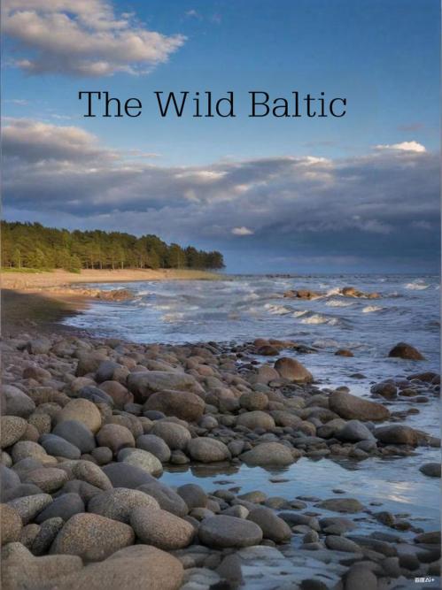 狂野的波罗的海