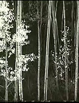 摄影课程：名家摄影欣赏