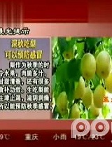 养生食谱
