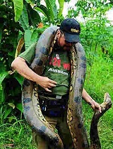 世界奇葩大蛇