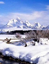 大雪季怎么玩刹不住的公交车