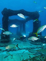 世界唯一的海底小楼