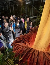 比利时吃喝玩乐