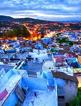 猫的王国薄荷味的舍夫沙万