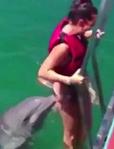 搞笑奇趣-海豚偷袭比基尼美女！