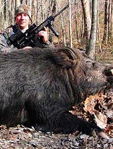 俄猎人捕获535公斤大野猪