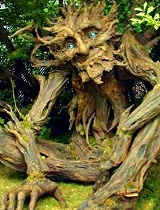 厄瓜多尔的树竟长腿移动