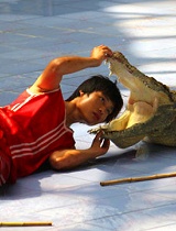泰国上演惊险“人头入鳄鱼”