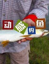 《四海钓鱼》-动感钓鱼（新）