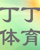 丁丁体育