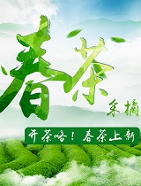 春茶采摘季：带你走进春日茶乡