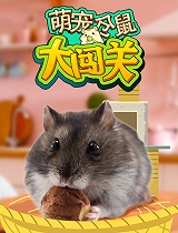 萌宠仓鼠大闯关 第二季
