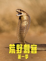 荒野刺客 第1季