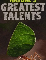 大自然最伟大的天才