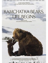 堪察加熊–生命启程