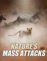 大自然的攻击