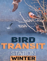 鸟类过境(第01集)“冬季港”