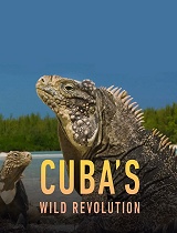 古巴的狂野革命