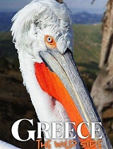 希腊 狂野的一面(第02集) 被蓝色包围