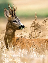 罗纳-开放空间之地的自然美景