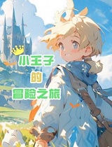 小王子的冒险之旅
