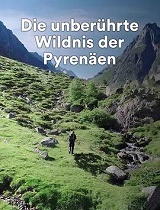 野性的比利牛斯