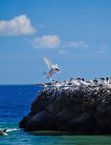 自然的崛起(第03集)