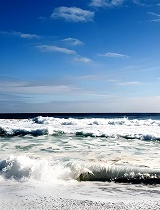 蓝色能源：海盐