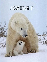 北极的孩子