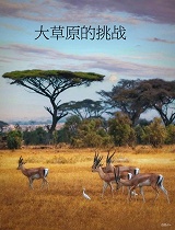大草原的挑战