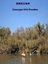 多样的三角洲(第01集)：卡玛格 狂野的天堂 海洋之畔