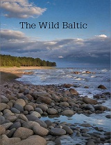 狂野的波罗的海(第01集)：琥珀海岸的狂野生活