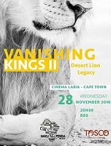 消失的国王 火枪手的遗产