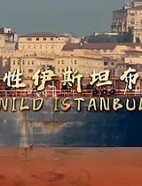 野性伊斯坦布尔