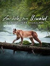 建造原始森林——卡尔彭阿尔卑斯国家公园