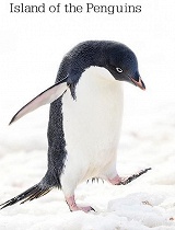 企鹅之岛