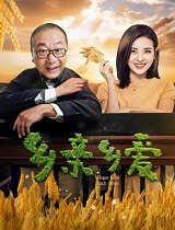 乡亲乡爱