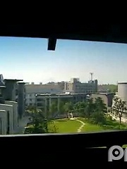 15591154543.jpg